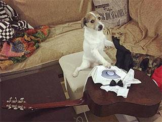 旋风|搞笑gif：我要没猜错，这孩子用的是旋风腿!