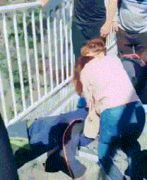 妹子|搞笑GIF:大哥,你这妹子有多少我要多少