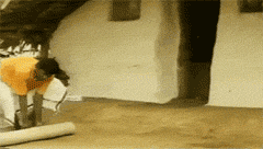 夫君|搞笑GIF图:老妹人家来做保养,你这一口唾沫是最新美白品吗