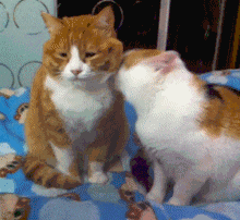 套路|搞笑GIF：励志啊