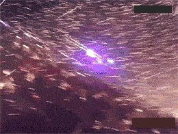 厕所|搞笑GIF动图：终于完成了我小时候想最想观察的结果之一