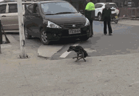 妹子|搞笑GIF趣图:真想娶个妹子,然后靠卖水果度过一生