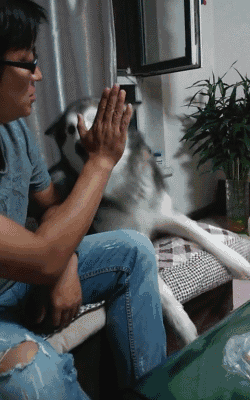 似的|搞笑图文：晚上就等着你媳妇跟你拼命吧