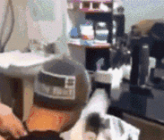 新鲜|搞笑趣图:妻子:你看我这鱼买的新鲜吧