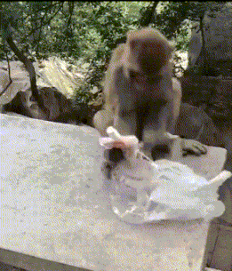 之间|搞笑GIF: 我感觉这三位小哥之间一定有故事