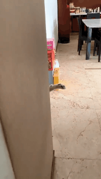 妹子|搞笑GIF：大妈赶紧再尬一段广场舞