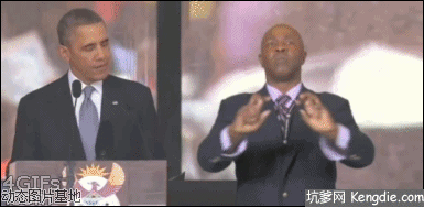 泰迪|搞笑gif，无聊时轻松一下吧