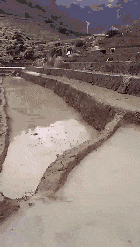 师傅|搞笑GIF:师傅停一下,有人卡车门上了