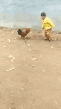 姑娘|搞笑GIF: 姑娘，你这车也实在是太小了吧