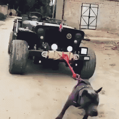 难受|搞笑GIF:刚才的到底是谁!在干什么啊!弄的我好难受!