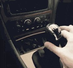 胆子|搞笑GIF：喂，大老虎，你这样撒娇好吗，作为王的尊严呢