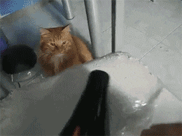 妹子|妹子这嘴型竟可以随意操作，简直逆天了！