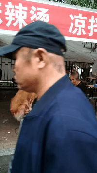 挫折|开心一刻：这位美女是事业上受到了什么挫折还是感情上受过挫折呢