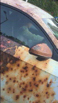 沙雕|搞笑GIF：沙雕描边翻车现场，哈哈哈哈哈差点笑出眼泪