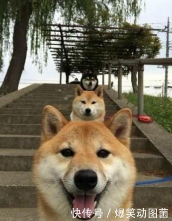 大娘|搞笑GIF趣图：是的，不过你要先打两万做个样子