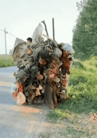 家子|搞笑GIF:不小心踩到,会不会痛!