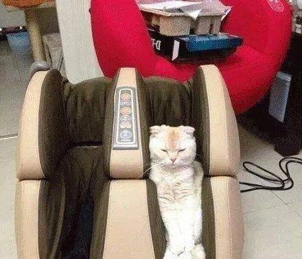 大区|他成了一个与车打交道与有钱人打交道的碰瓷人