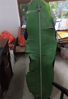 因为|搞笑GIF趣图:一碗加了辣的外卖,发现男友出轨了…