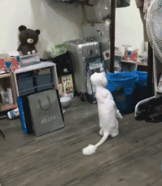 一动不动|爆笑GIF：你看到了什么惊的一动不动！