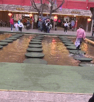 海草|搞笑GIF：爸爸，能给我吃点吗