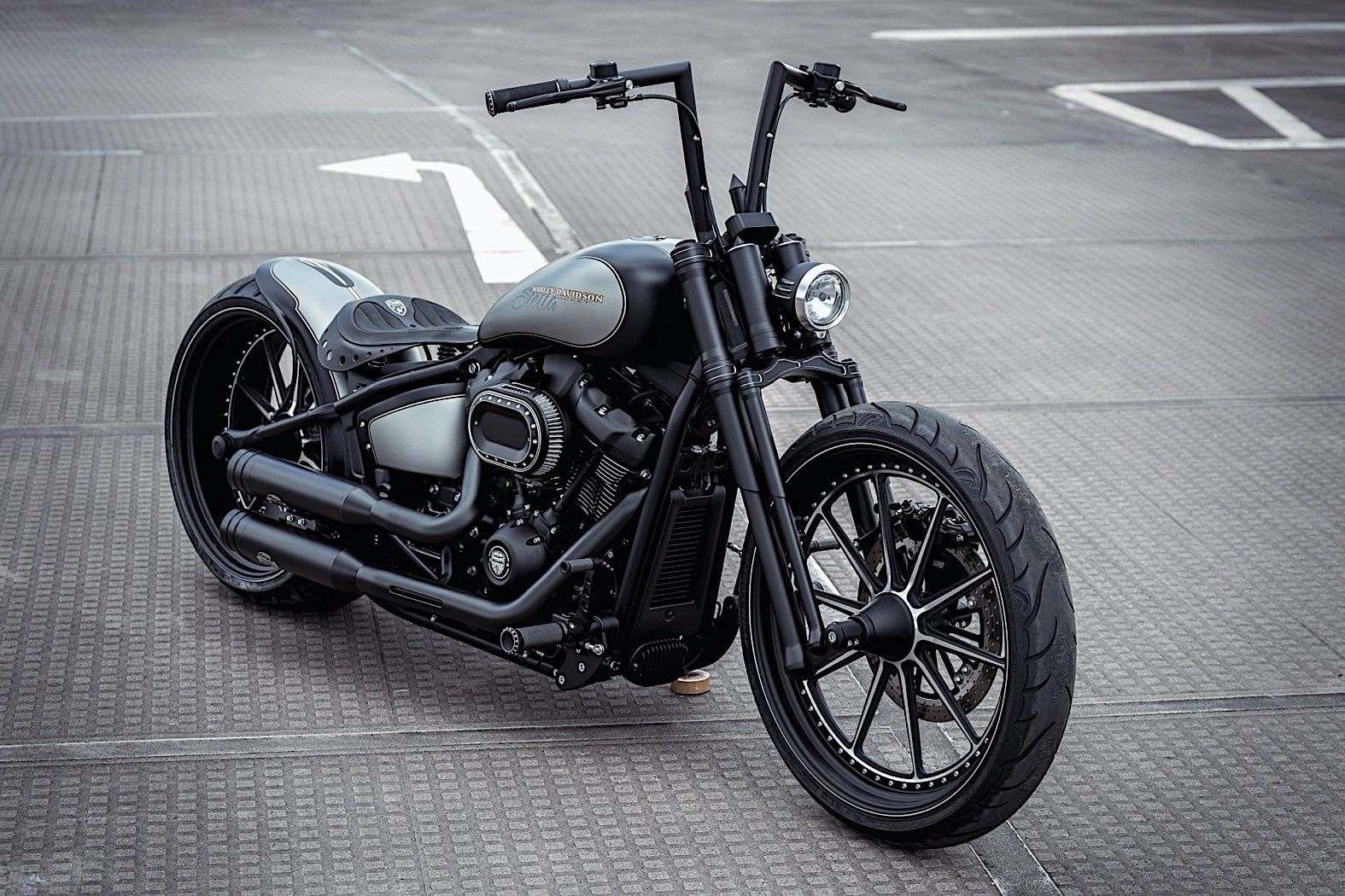 阳刚与柔美并存,德国车厂定制改装哈雷突破者