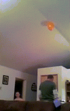 腥风血雨|搞笑GIF:又是一场腥风血雨