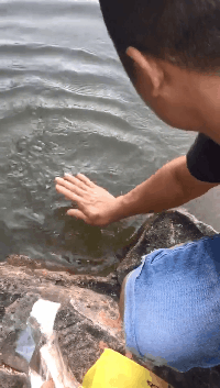 响亮|搞笑GIF：宝贝亲的不响亮，再来，再来~~~