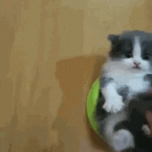 厉害|搞笑GIF: 还以为妹子会有一个完美的表现呢, 可惜没猜中结局