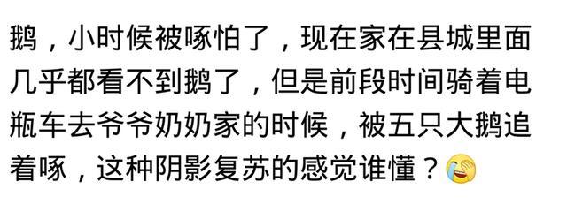 阴影|小时候有没有做过给你留下阴影的事？网友的回复太搞笑了
