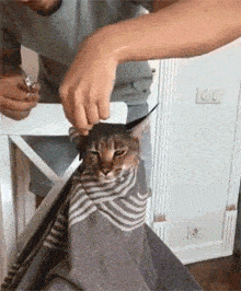 儿子|这小表情，真是太逗了！