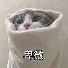 沙雕|“这一届毕业生太难了,学士帽是校长靠拍一拍拍到我头上的!”