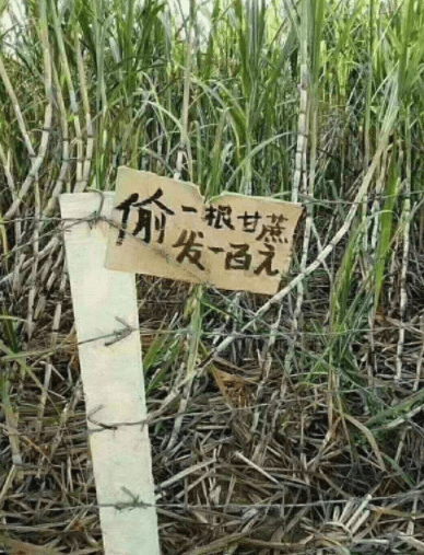 生日|过生日绝对不能凑合，这种生日礼物不要也罢。