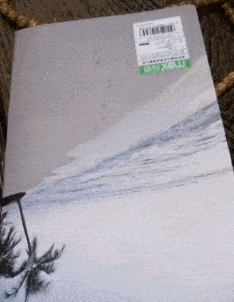 卤肉|大姐：只要我扑腾得够快，寂寞就追不上我。