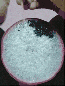 朋友|搞笑GIF趣图：妹子！想进球？不可能的！