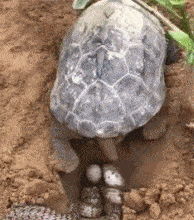 姑娘|搞笑GIF趣图：村里的大妈没事干了吗？