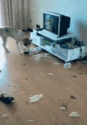 朋友|搞笑GIF趣图：妹子！想进球？不可能的！