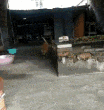 小姨子|搞笑GIF趣图:为什么我觉得这身材很奇怪