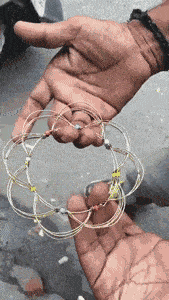 儿子|搞笑GIF:后来我搬过去住了,那条鱼就饿死了