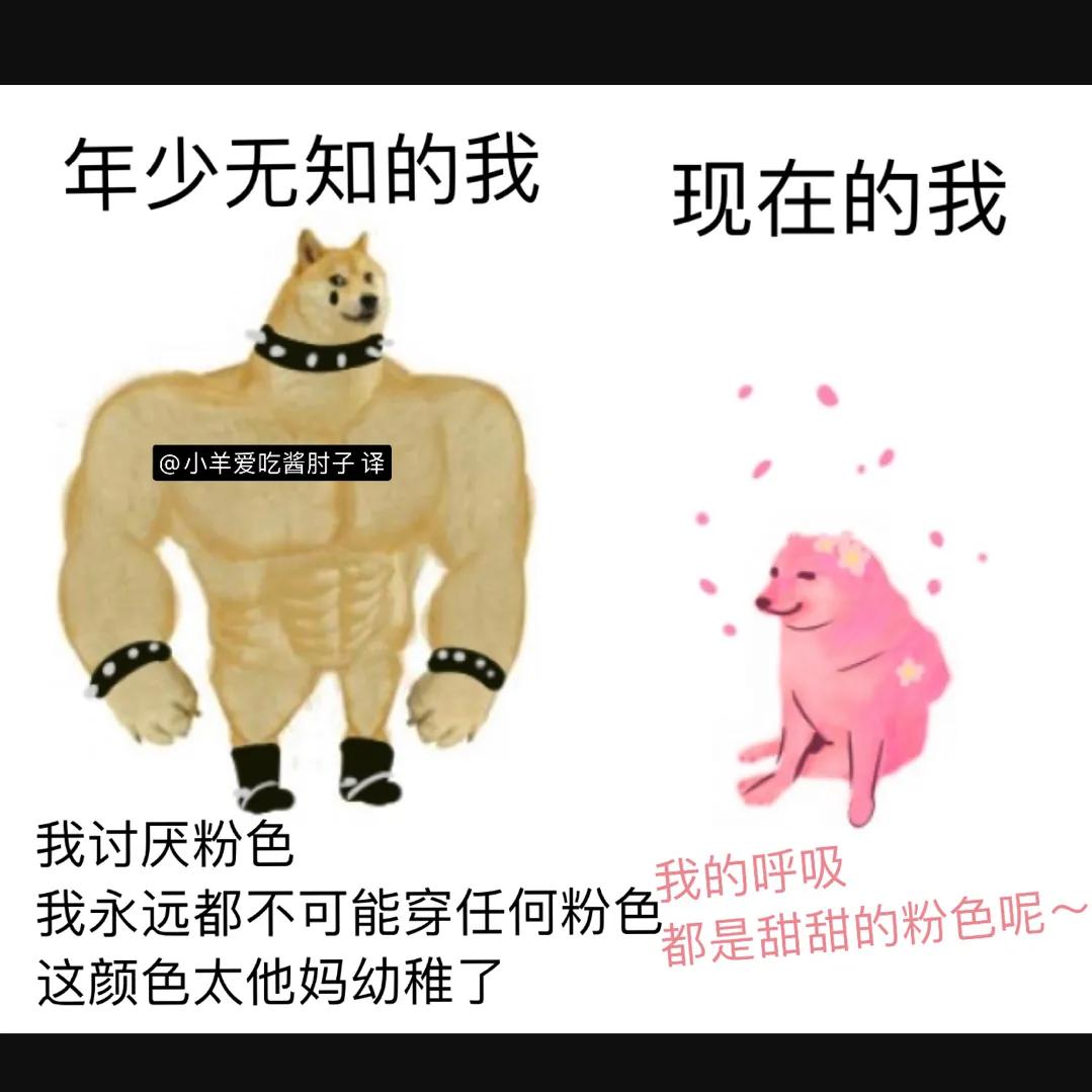 沙雕|岛国动作片老师在网上发照片秀身材，结果被沙雕粉丝们玩坏了...