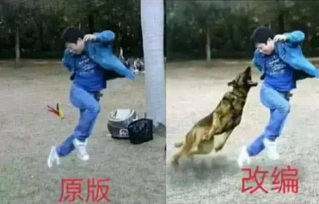 儿子|搞笑GIF:后来我搬过去住了,那条鱼就饿死了