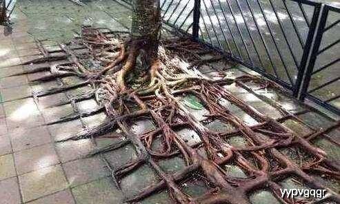 室友|幽默笑话:给钱有个什么用啊, 一转眼我妈就没收了!