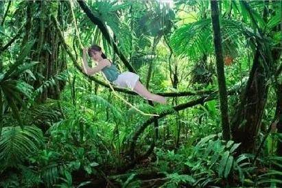 沙雕|岛国动作片老师在网上发照片秀身材，结果被沙雕粉丝们玩坏了...