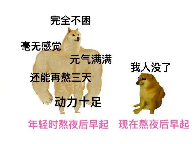 沙雕|岛国动作片老师在网上发照片秀身材，结果被沙雕粉丝们玩坏了...