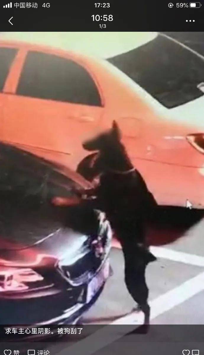 沙雕|岛国动作片老师在网上发照片秀身材，结果被沙雕粉丝们玩坏了...