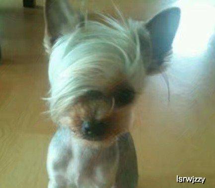 经理|开心一刻：今天上班和一女孩做了错事，经理跑过来训我俩