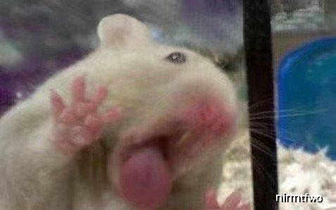 经理|开心一刻：今天上班和一女孩做了错事，经理跑过来训我俩