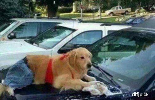 经理|开心一刻：今天上班和一女孩做了错事，经理跑过来训我俩