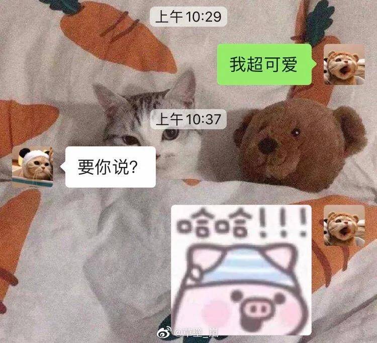 男朋友|“半夜听到男朋友的彩虹屁要小心!哈哈哈哈笑死我了…”