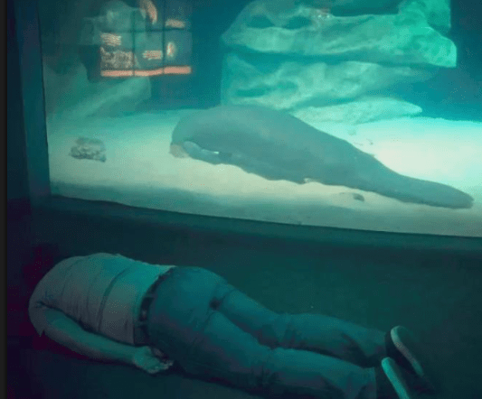 儿子|哥们,这就是乱停车的下场,以后长得心眼