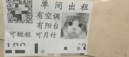 老公|爆笑段子:参加老婆朋友婚礼,我自己去的,满满的都是人都不认识